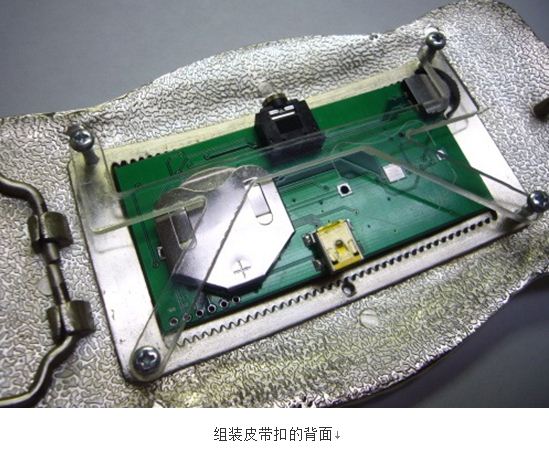 组装皮带扣的背面