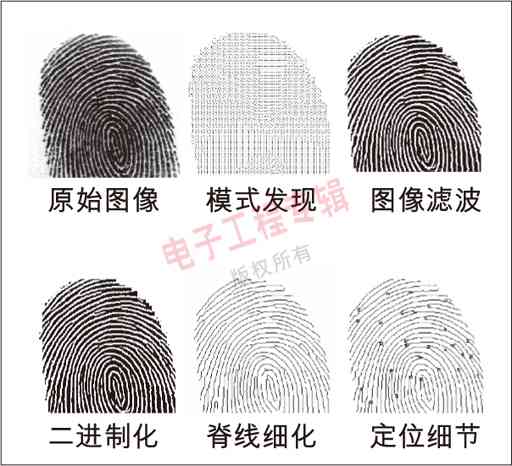 图4:指纹处理的次序。
