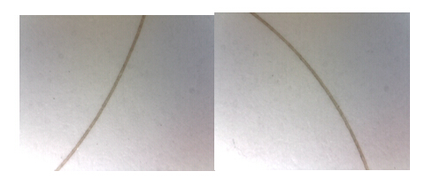 ▲R3 65倍放大 ▲R4 65倍放大