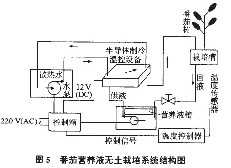 番茄营养液无土栽培系统结构图