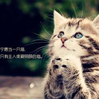 奇迹奇点