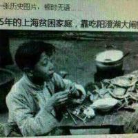 海豚