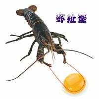 风亦寒