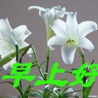 物是人非