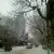 再见mARch