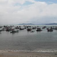 黄飞