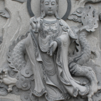 RENkang