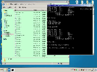 01.06_(DOS)