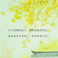 九古橙蕉