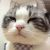 junXia