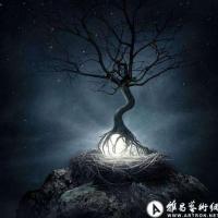 无风之秋