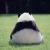 LEo_yw