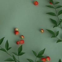 我在这里